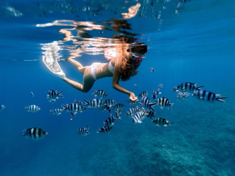 Safari Blue snorkeling trip with traditional dhow