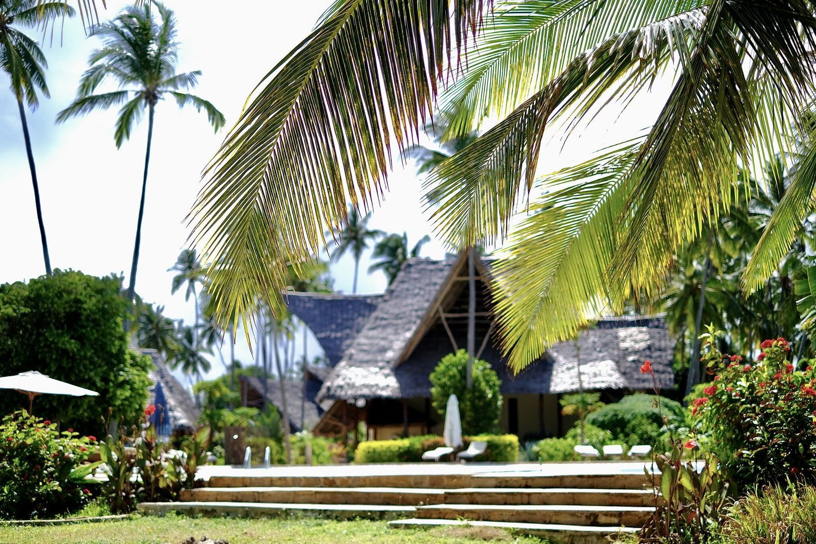 Beachfront pavilion shaded by palm trees