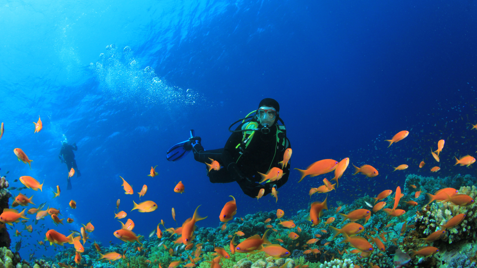 Snorkeling at coral reefs with tropical fish